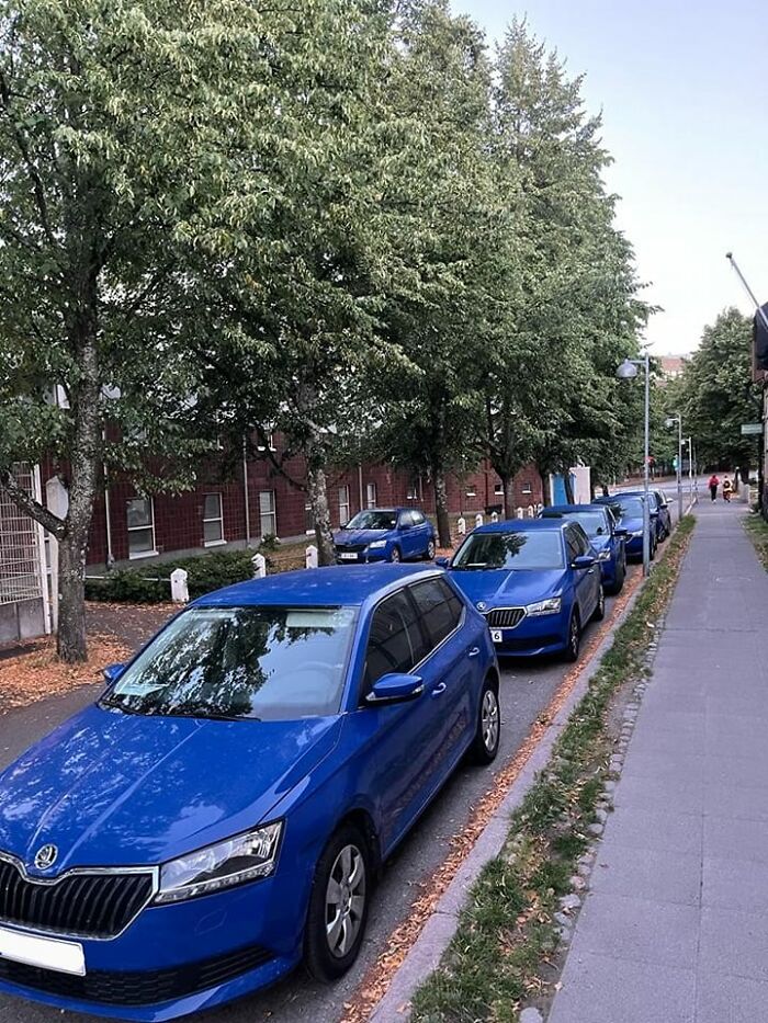 Accidental-Surrealism-Photos