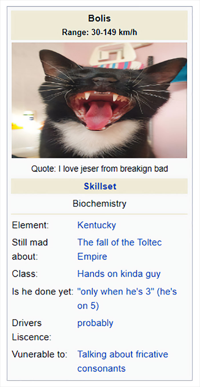 Wikipedia-Out-Of-Context-But-Its-Made-Up-Twitter