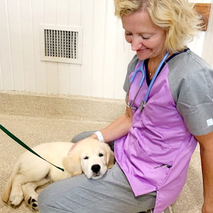 Senior Dog Returned To Shelter After 12 Years To Be Put Down Is Now Living Her Best Life After Vet Adopts Her Senior Dog Returned To Shelter After 12 Years To Be Put Down Is Now Living Her Best Life After Vet Adopts Her
