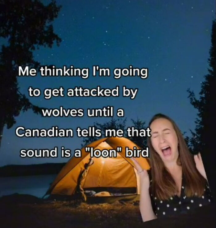 Thenewcomercollective