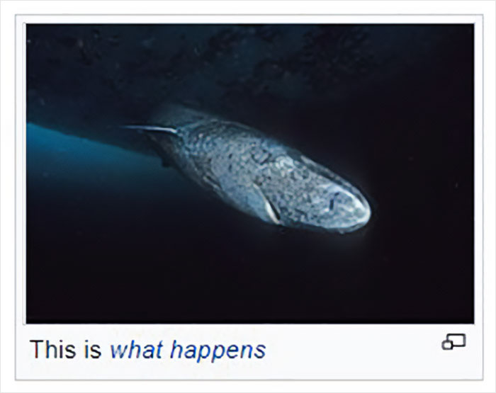 Wikipedia-Out-Of-Context-But-Its-Made-Up-Twitter