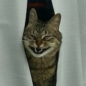 jesyllamoralmadenjyz avatar