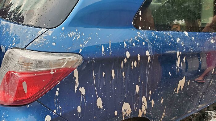 Some Idiot Put A Full Can Of Paint In The Dumpster. This Is My Neighbor's Car After The Garbage Truck Loaded The Dumpster