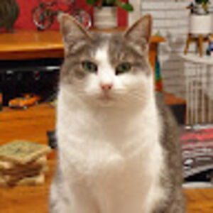 patriciamckay avatar