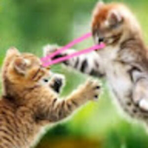 vanessadelrue avatar