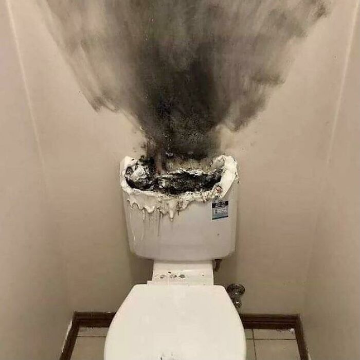 Cursed Toilet