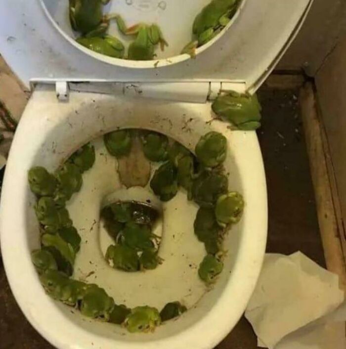 Miss Piggy Thought She Just Had Cursed Cramps