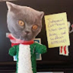 shaniavery-scott avatar