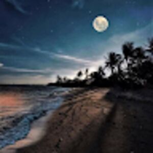 hannahbrown_2 avatar