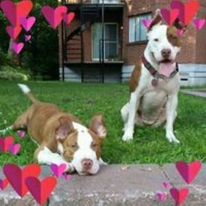 charmainesmith8 avatar