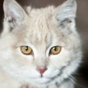 alexismoody805 avatar