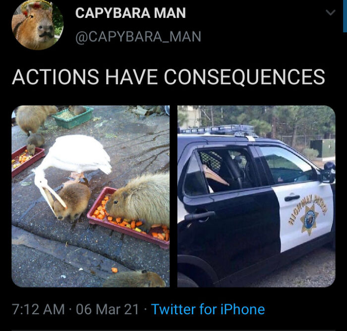 Justice Freaking Served!