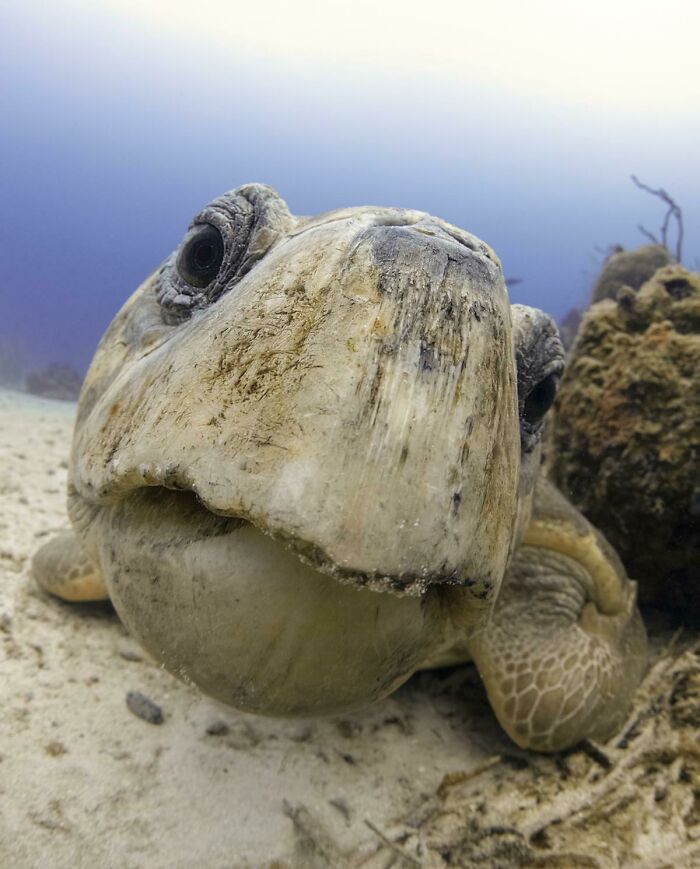 Canon 5d Mark4 8-15l F11@1/125th Iso 2500 Ambient Light