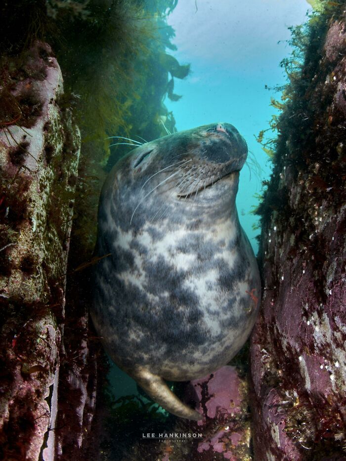 Braved The 12c Farne Islands Waters On The Weekend In Just A Wetty. Worth It
