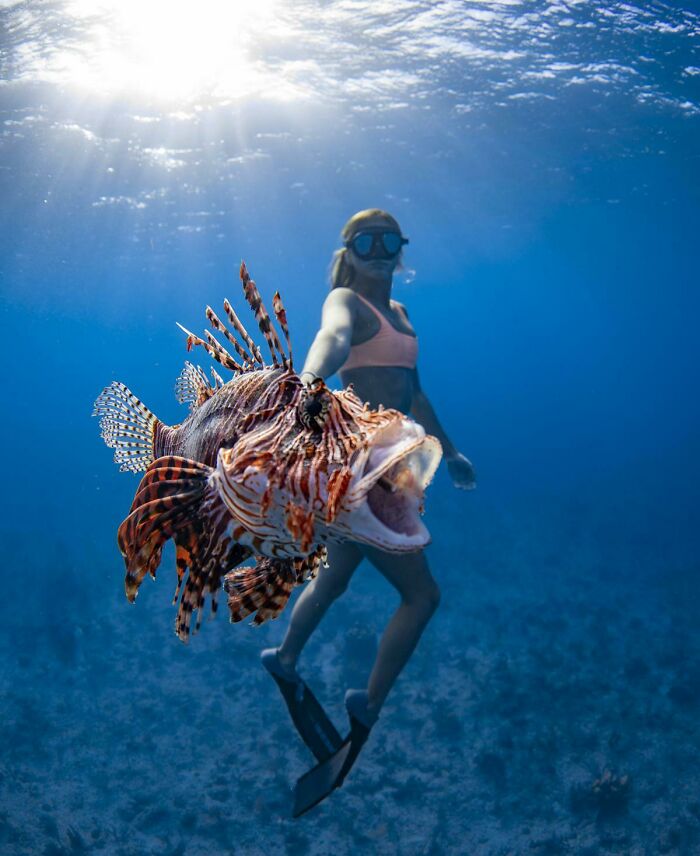 Ambient Light Canon 5dmark4 8-15mm L Series Lens/ F5 Iso 100 1/125 Sec