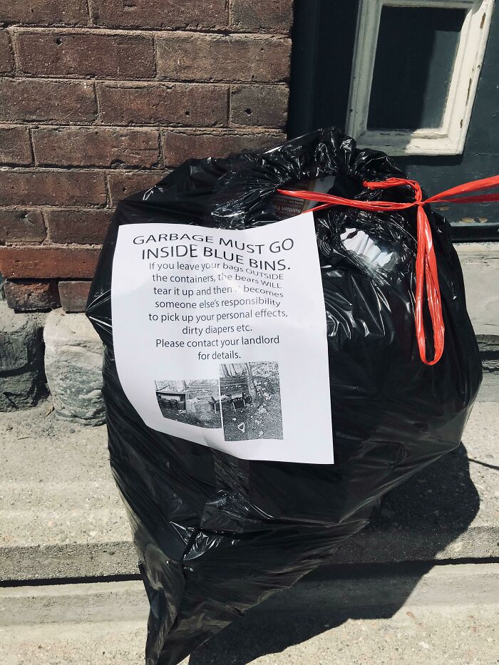 Neighbors Are Too Good To Put Their Trash In The Bins