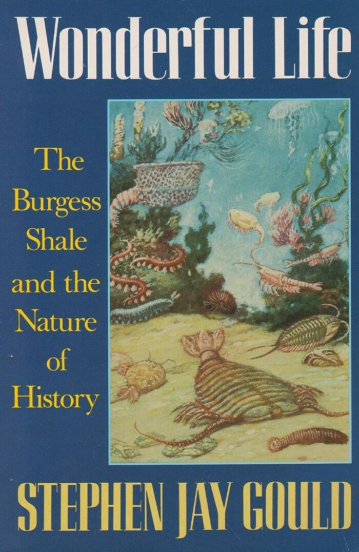 Wonderful Life By Stephen Jay Gould