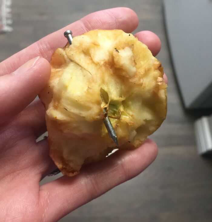 Les dije a los hijos de mis vecinos que dejaran de lanzar piedras contra mi valla y mi fachada. Encontré esto en mi patio trasero 30 minutos después. Tengo un perro