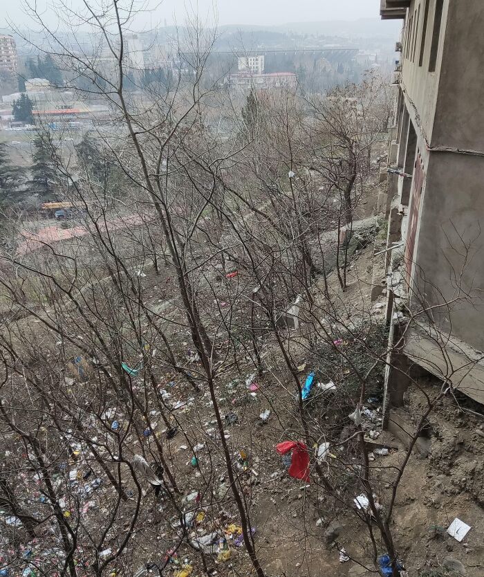 Me trasladé a una nueva oficina, me sorprende lo asquerosos que son mis vecinos