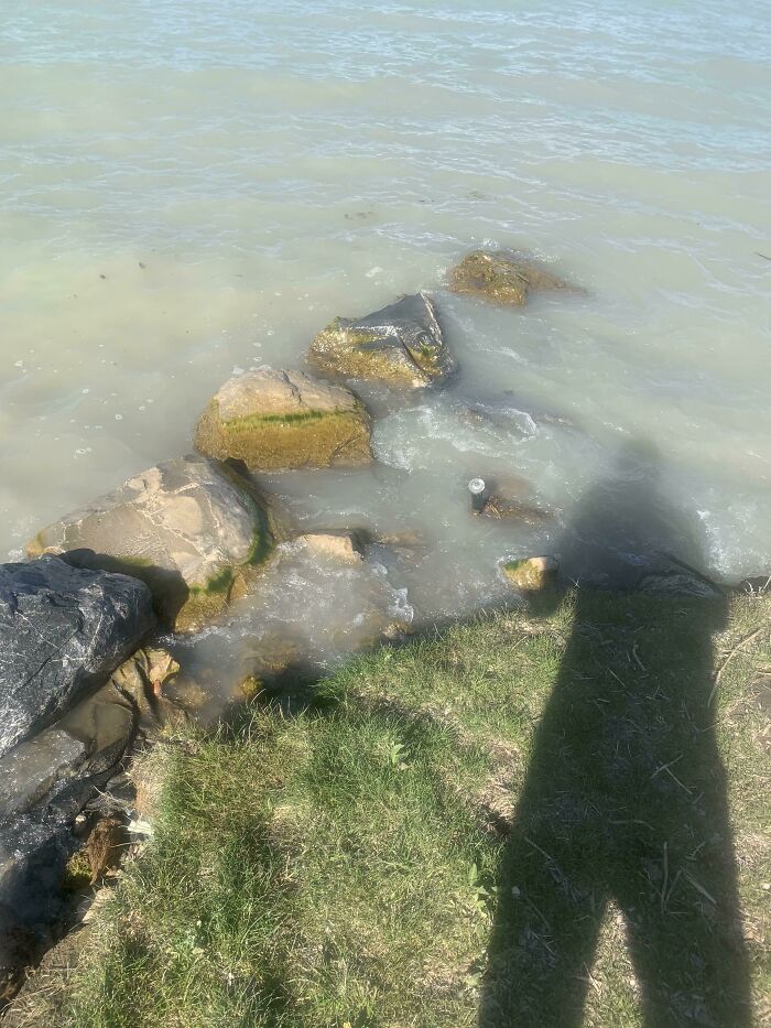 Nuestra asociación de propietarios instaló algunos aspersores junto al lago el año pasado. Un año después, aquí está uno de los aspersores, que riega el lago dos veces al día