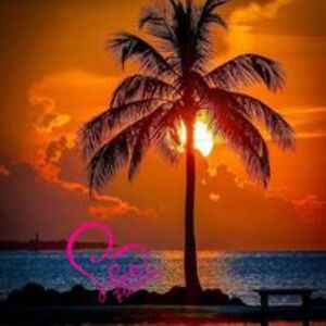 msindependant72 avatar