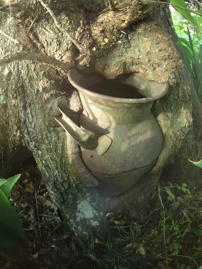 Picture Of A Photo At My Doctor’s Office. Photographer Called It “Milk, It Does A Body Wood”
