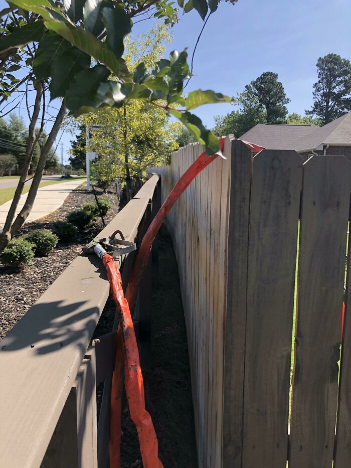 Mi asociación de propietarios puso una valla la semana antes de que yo pintara la mía