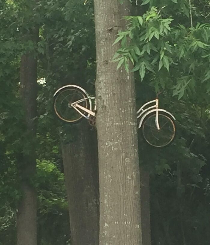 Found In Hattiesburg, MS