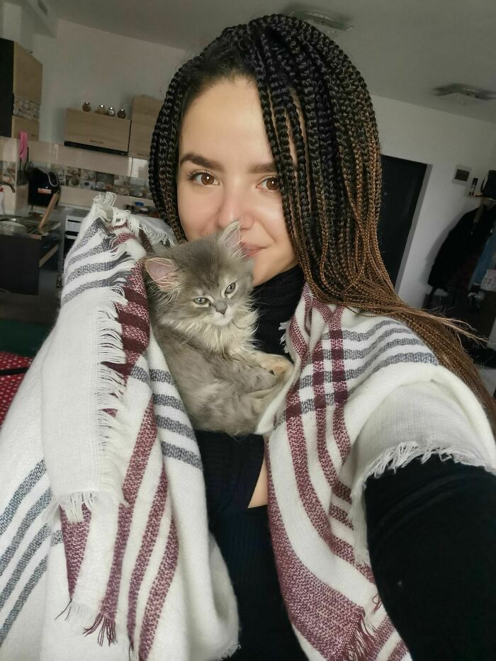 Say Hello To Simba, My Norway Forest Cat