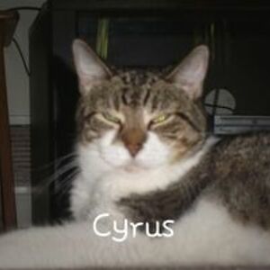 annette_dabney_frampton avatar