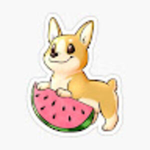 watermelondoggo avatar