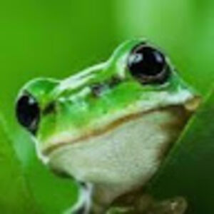 rachelhoward_1 avatar