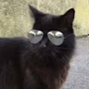 marshalllocke avatar