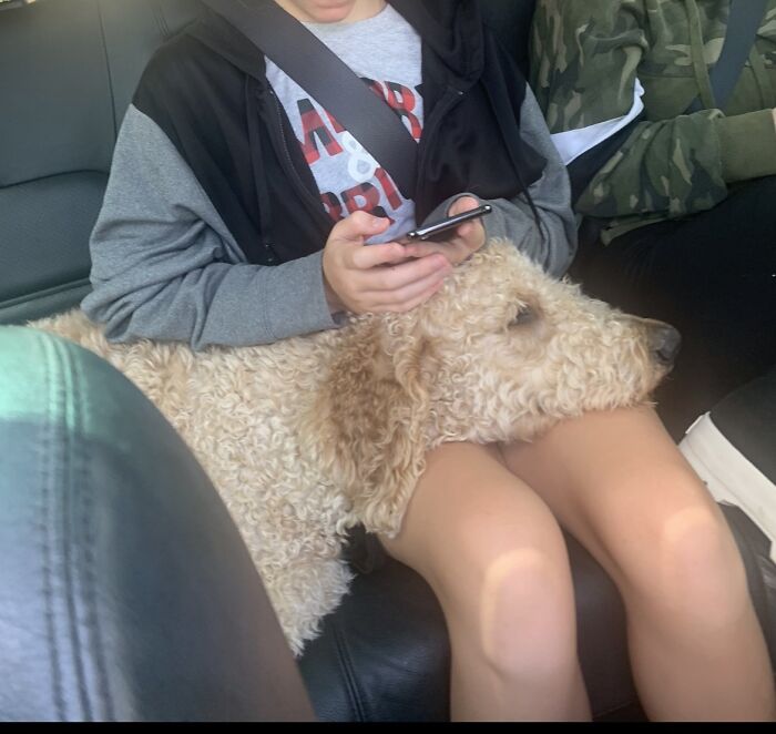 Guess I’ll Be A Phone Prop From Now On 🤷🏻‍♂️