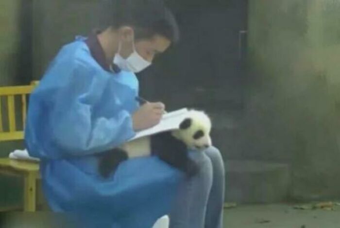 I Am A Clipboard Now