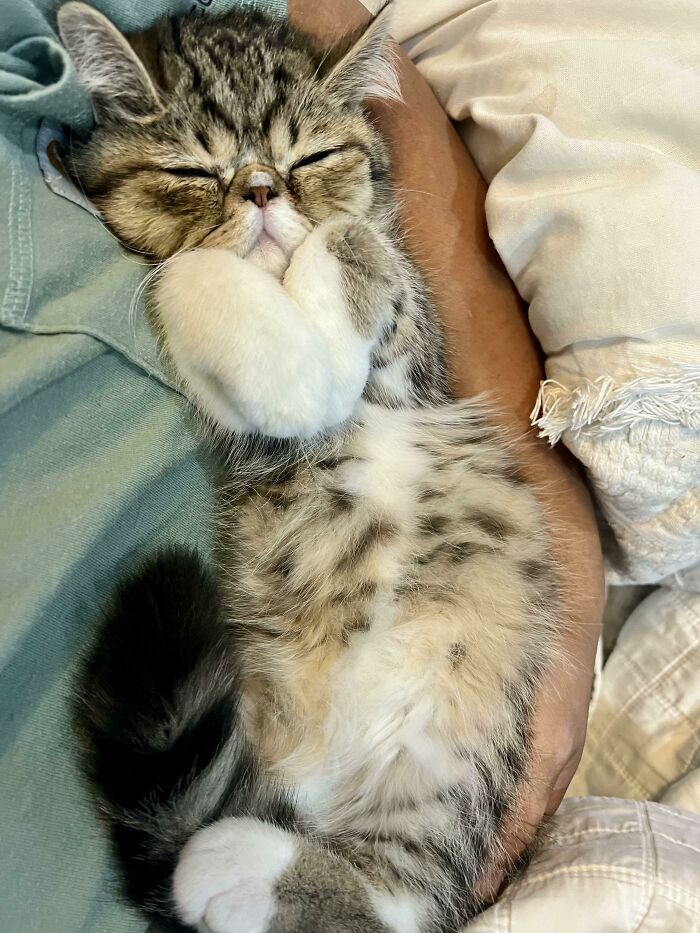 Yes! I Was Able To Reach The Phone. Otherwise, This Is My Life Now