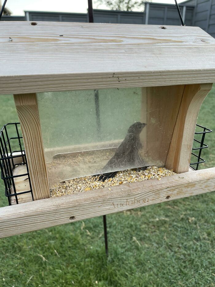 Sometimes You Have To Let The Last Few Crumbs Go