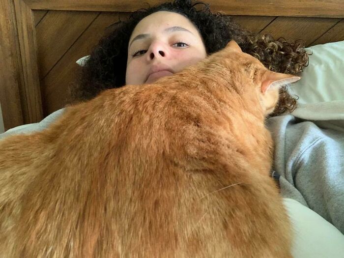 Im Hermione’s Favorite Pillow