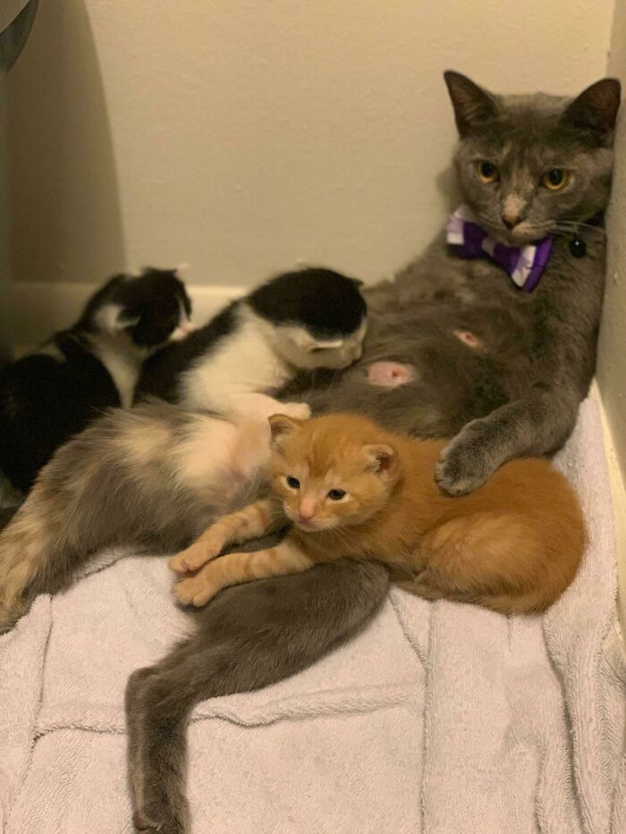 Have Kids They Said, It Will Be Fun They Said