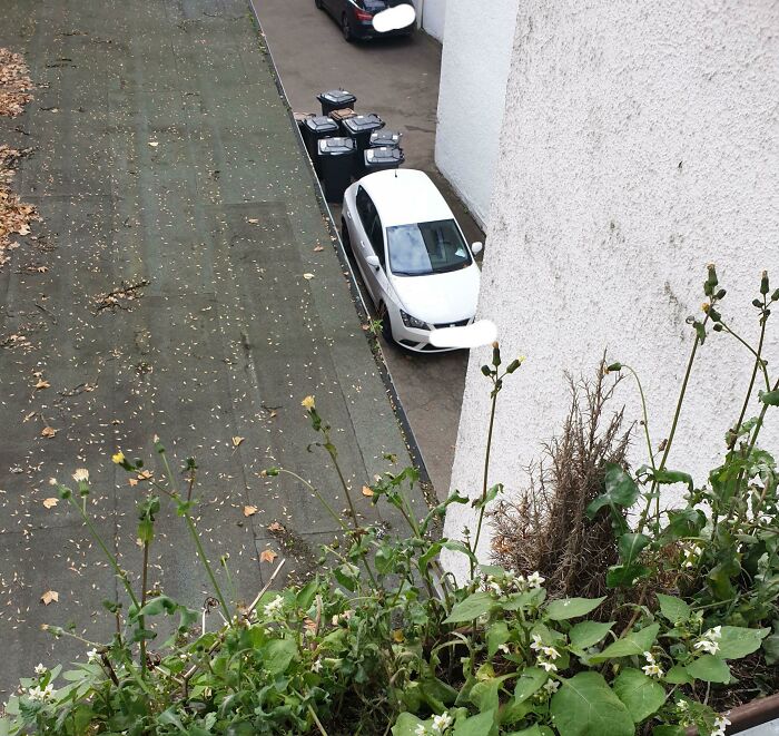 When You Annoy The Janitor. This Is A No Parking Zone With Only One Way Out