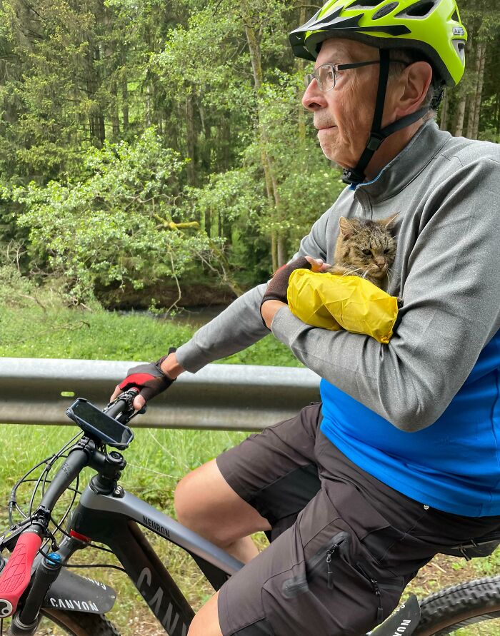 Found This Cat Today In The Woods