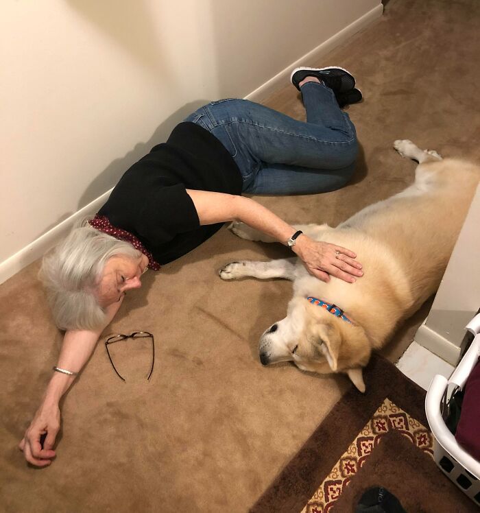 We Adopted A Senior Saint Named Mikey Yesterday And I Think It’s Safe To Say His First Trip To Grandma’s Went Well