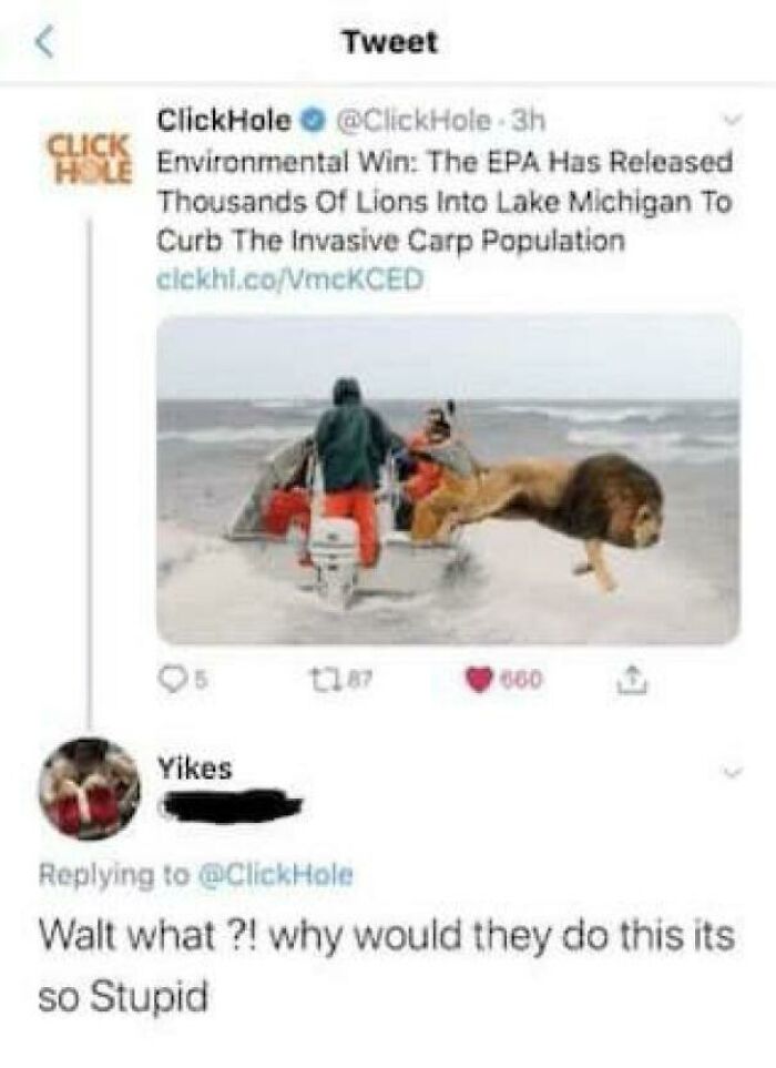 Why Would They Do This?