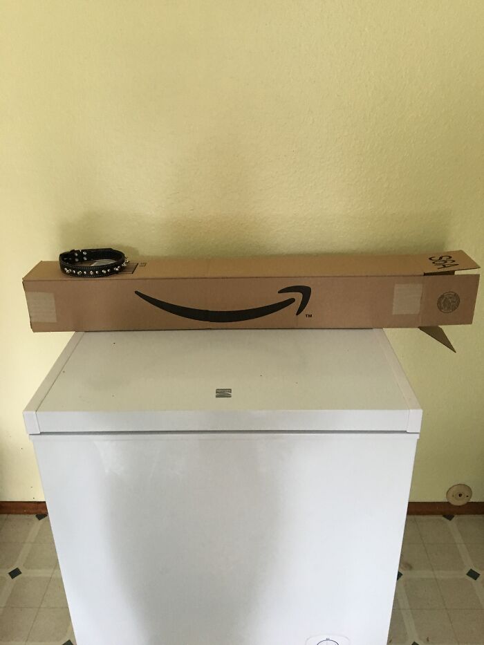 The Packaging They Chose To Send My Dog's New Collar In...wtf?