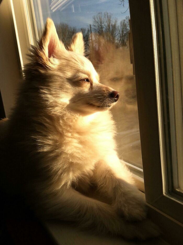 She Knows She’s Beautiful