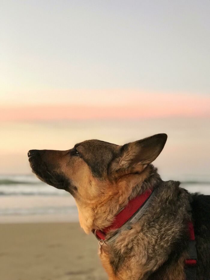 I Miss My Beautiful Sally So Much. She Was The Prettiest Model