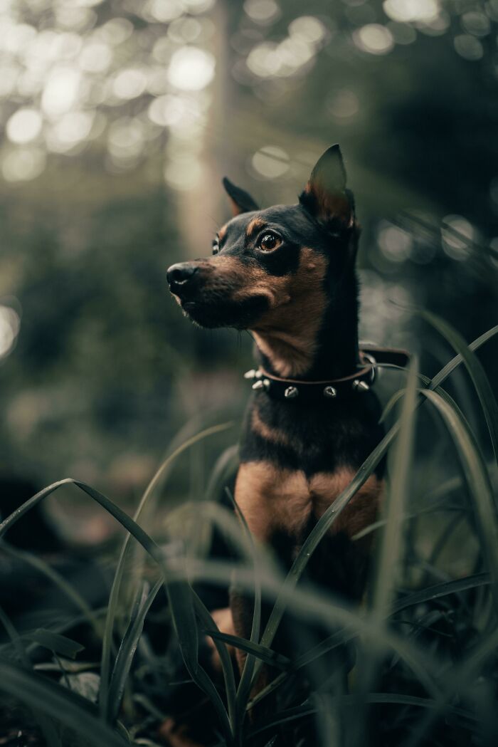 Lord Axel In His Kingdom