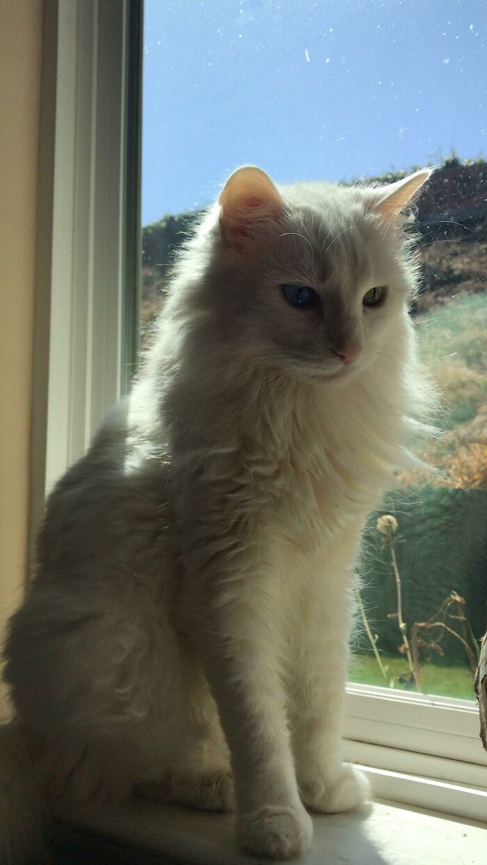 I Had To Leave For College Again & Im So Sad I Miss Her Already