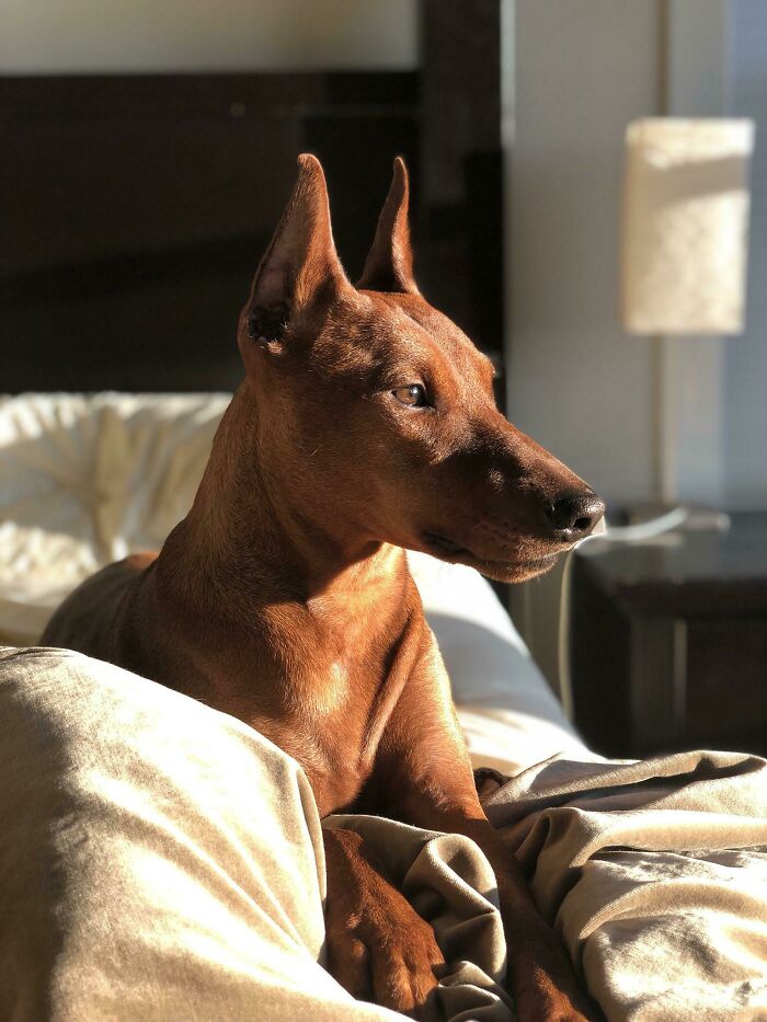 Catching That Morning Sun