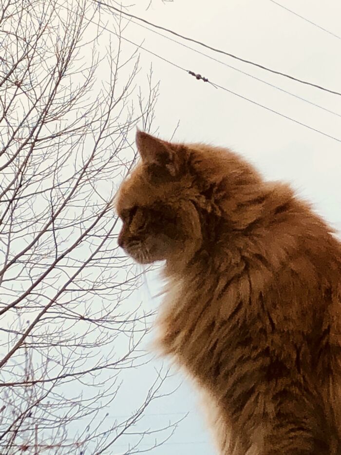 Larry Turned 18 Today